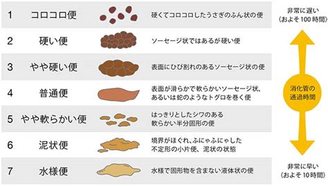 上からゲロ！下から下痢！小便を飲んでうんこを食べるゲロ便女。